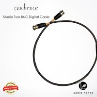 Audience StudioTwo BNC 1 M Red Black