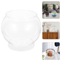 hot【cw】 Large Vase Glass Bowl Aquarium Transparent Pot Round Hydroponic Containers Turtle