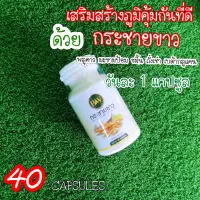 กระชายขาวสกัดเข้มข้น ผสมถั่งเช่า ชนิดแคปซูล PW กระปุก 40 แคปซูล พร้อมส่ง