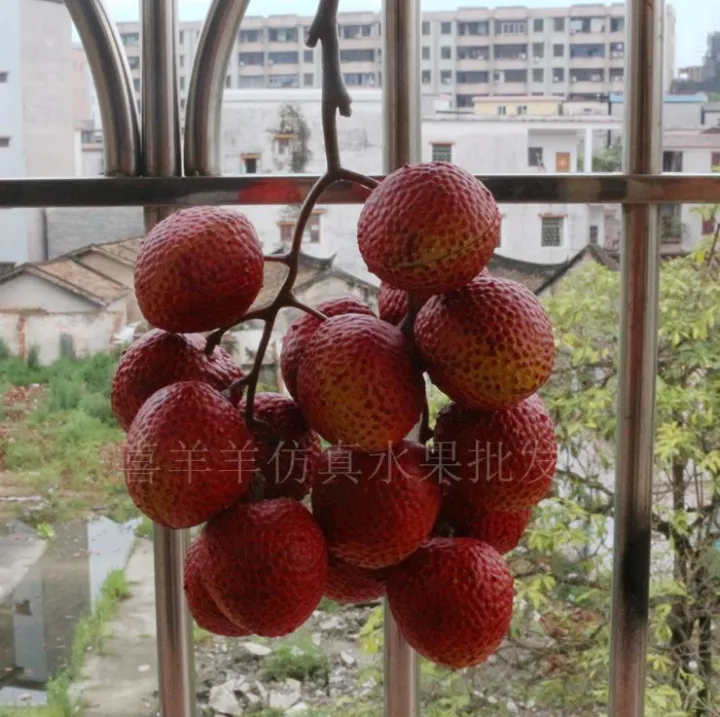 Simulation of lychee simulation fruit fake fruit model lychee model