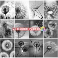 AB Diamond Painting 5D Flower Embroidery Black And White Picture Mosaic Cross Stitch Dandelion Art Full Drill DIY Wall Stickers