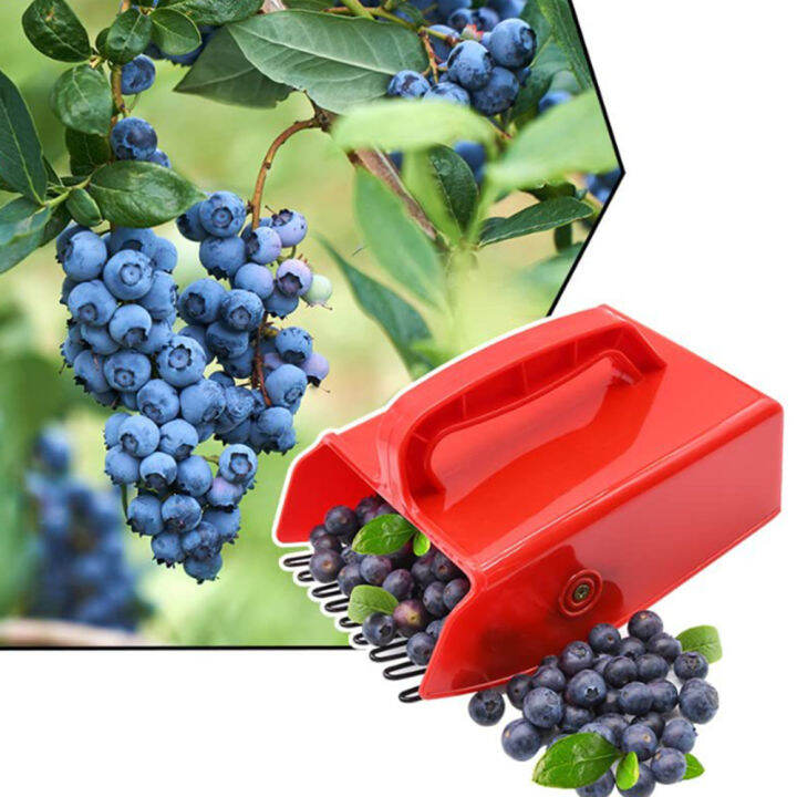 Blueberry Picker Scoop Plastic Berry Picker With Metallic Comb