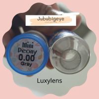 [สายละมุน]Mini peony Luxzylens คอนแทคเลนส์เกาหลี คอนแทคเลนส์ บิ๊กอาย bigeyes contactlens คอนแทคสายตา คอนแทคเลนส์สี