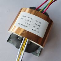 170V 0.1A 6.3V 2A R Core Transformer 30VA R30 custom transformer 220V input copper shield for Pre-decoder Power amplifier Power Supply Units