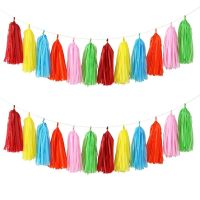 Lennie1 DIY Tissue Paper Tassel Garland for Wedding Hanging Ribbon Curtain Baby Shower Decoration Party  celebration Supplies