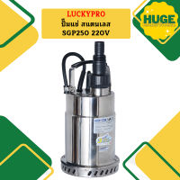 Luckpro ปั๊มแช่ สแตนเลส SGP250 220V