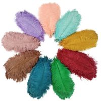 10Pcs/Lot New Colorful Feathers Big Feather Vases Table Centerpieces Plumes Wedding Decoration