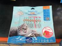 BEARING Cat Liquid Snack ขนม ขนมแมว ขนมแมวเลีย อาหารแมว ขนมแมวความเค็มต่ำ 15g แพ็ค 16ซอง+4ซอง