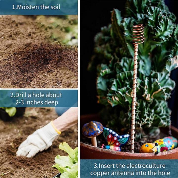 สวนเดิมพัน-electroculture-สวน-sticks-ใช้-ether-พลังงาน6ชิ้นพืชเดิมพันและสนับสนุนสำหรับการปลูกพืชสวนมะเขือเทศ