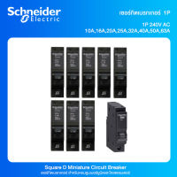 เซอร์กิตเบรกเกอร์ ลูกย่อย schneider