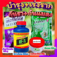 บำรุง+เร่งราก+กันรา+กันแมลง ☘ ปุ๋ยเทอร์โมโค้ท+น้ำยาเร่งรากB1+สตาร์เกิลจีกำจัดแมลง +แคปแทนกันรา ปุ๋ยบอนสี ปุ๋ยกุหลาบ ปุ๋ยแคตตัส?