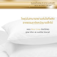 หมอนโรงแรม 6 ดาว Luxury ใย Micro Crimp หมอนหนุน Luxury รุ่น OverKing (24x35 นิ้ว ขนาดใหญ่พิเศษ) ความนุ่มระดับ Firm (นุ่มแน่นสูง) (ฟรี ปลอกหมอน) หมอน นุ่ม หลับสบาย ทำความสะอาดง่าย รับประกันสินค้า ไม่มีไรฝุ่น ไม่ก่อให้เกิดภูมิแพ้ ไม่เก็บฝุ่น (ไมโครคลิมป์)