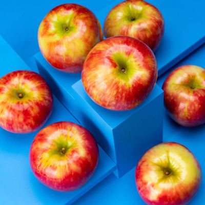 20 เมล็ด เมล็ดแอปเปิ้ล สายพันธุ์ ฮันนี่คริปส์ (Honeycrisp) กรอบและหวานแหลม ของแท้ 100% อัตราการงอก 70-80% Apple Seed มีคู่มือปลูก