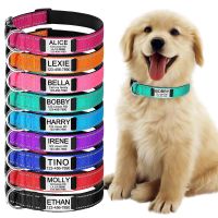 Adjustable Reflective Nylon Dog Collars Custom Engraved Name ID Tag Personalized Luminous Puppy Gleamy Large Unisex Dog Collar Leashes