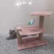 TRỤ CÀO MÓNG CATTREE CHO MÈO CÓ VÕNG NẰM