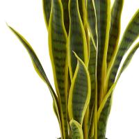 Sansevieria โรงงานประดิษฐ์พลาสติกสีเขียว