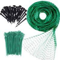 【CW】 Garden Netting Anti Protection Net Fruit Trees with Tacks and Ties