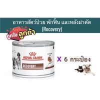 นาทีทอง ส่งฟรี Royal Canin อาหารสัตว์พักฟื้น Recovery (แมว) 6 กระป๋อง(หมดอายุ : 07/02/2023)