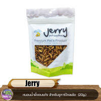 Jerry หนอนน้ำผึ้งอบแห้ง สำหรับชูการ์ไกลเด้อ แพรี่ด็อก แฮมเตอร์ เม่นแคระ นก เบี๊ยดดราก้อน 20g