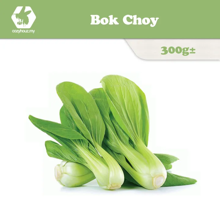 [btw & Png Area Only] Bok Choy   Sawi Pendek 300g± 