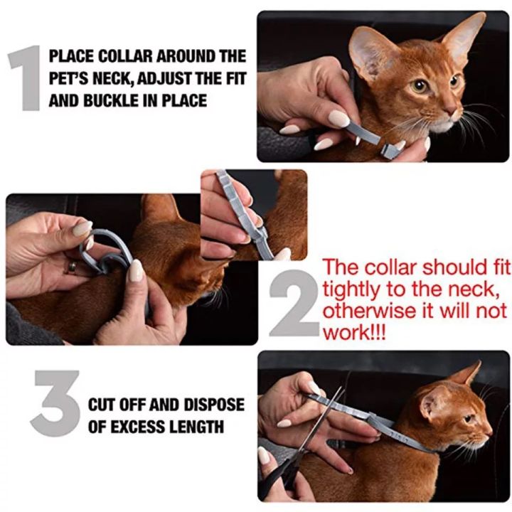 flea-and-tick-collar-for-dogs-cats-up-to-8-month-flea-tick-dog-collar-anti-mosquito-and-insect-repellent-pet-collars