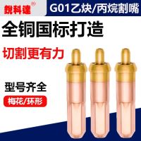 [Fast delivery] Acetylene cutting nozzle propane cutting nozzle G01-30 100 torch nozzle ring type liquefied petroleum gas gas plum blossom gas cutting nozzle Durable and practical