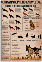 German Shepherd Knowledge ป้ายโลหะดีบุก: เหมาะสำหรับคนรักสุนัขโปสเตอร์อ่านอินโฟกราฟิกและโล่คู่มือวิทยาศาสตร์