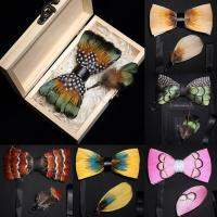 Ricnais New Original Feather Bow Tie Brooch Set White Bule Colorful Handmade Exquisite Bowtie For Men Wedding Ties Gift with Box Boys Clothing