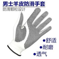 GOLF SHEEPSKIn GLOvES nOn-SLIP AnD wEAR-RESISTAnT IMPORTED LEATHER BREATHABLE SunSCREEn SPORTS SHOOTInG EQuESTRIAn SuPPLIES new J.LINDEBERG DESCENTE PEARLY GATES ANEW FootJoyˉ MALBON Uniqlo