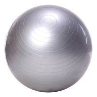 Exercise Ball Yoga Ball Free Pump- Burst Resistant Fitness Balls, High Grip Rubber Ball Ideal for Yoga Pilaties Abs and Core Workouts