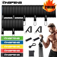 【CW】 Resistance Bands Set Exercise with Door Handles Carry for Training Workouts