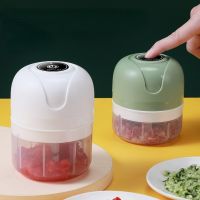 【CW】 100/250ml USB Electric Garlic Masher Press Mincer Vegetable Meat Grinder Food Tools