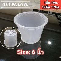 NutPlastic กระถางปลูกต้นไม้ กระถาง6นิ้ว กระถางต้นไม้ สีใส ขนาด6นิ้ว ราคาส่ง