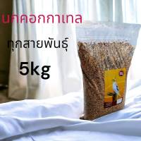 Bird Food For Cockatiel &amp; Lovebird อาหารนก สำหรับนกค๊อกคาเทล เลิฟเบิร์ด สูตรเพิ่มวิตามินและแร่ธาตุ นํ้าหนัก 5 กิโลกรัม