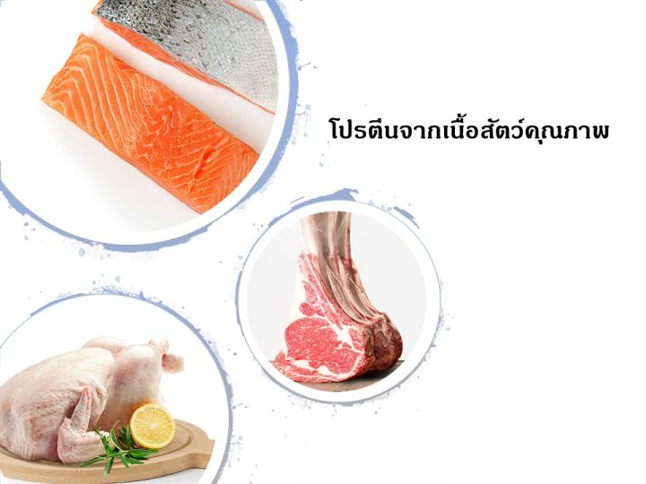 พร้อมส่งอาหารแมวเด็ก-randolph-2kg-โปรตีนสูง-เสริมสร้างสุขภาพที่ดีให้น้องเเข็งเเรงสมวัย