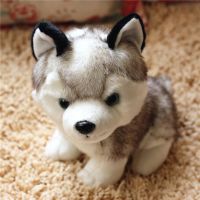 18 CM to 25 CM Simulation Dog Plush Toy Lovely Husky Soft Stuffed dolls Best Birthday Gifts For Children and Kids