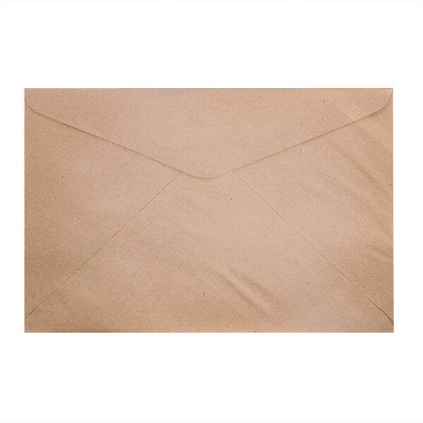 Brown Envelope Long 10s Lazada PH