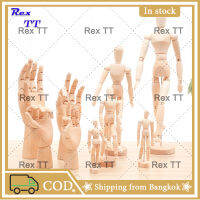 Rex TT วาดร่างนางแบบ Movable แขนขาไม้มือวาดหุ่นของเล่นแนวแอคชั่นตกแต่งบ้านศิลปินรุ่น Jointed ตุ๊กตา อุปกรณ์ศิลปะ