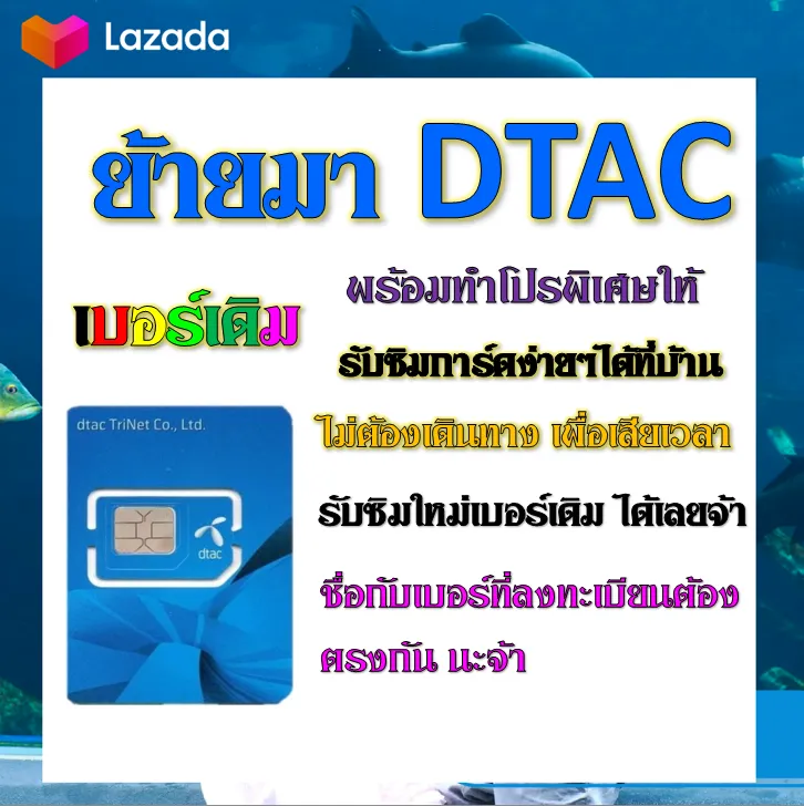 ✓รับย้ายค่ายเบอร์เดิมมาเครือข่าย Dtac สมัคร์โปรพิเศษเริ่มต้น เดือนละ 200  บาท เท่านั้น✓ | Lazada.Co.Th