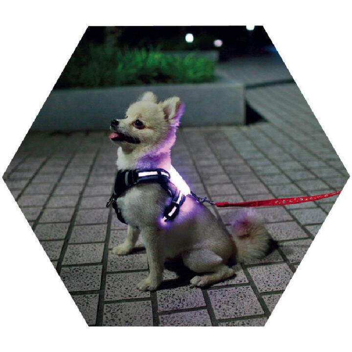 cc-simon-colorful-dog-collars-wholesale-cute-small-led-dog-safety-soft-mesh-pet-vest-harness-and-leash-for-outdoor