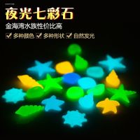 ◕◇✻ artificial noctilucent hai-yang starfish conch shells luminous stones fluorescent set stone