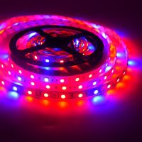 5M Phyto Lamps Full Spectrum LED Strip tape 12V 60LEDs/m 5050 Chip LED Fitolampy Grow Lights For Greenhouse Hydroponic plant Bar LED Strip Lighting