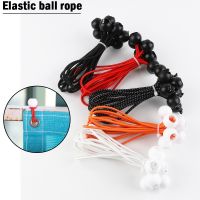 【CW】 2 100Pcs Multifunctional Elastic Rope Bungee Cord Camping Tent Accessories Tarp Canvas Net Installation Ropes