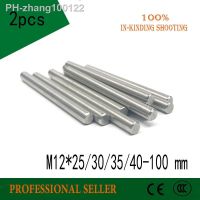 2pcs M12x25/30/35/40/45/50-100 mm 304 stainless Steel GB119 Threaded Cylindrical Pin / Dowel Pins For Mold Machine Tools