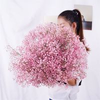 【cw】 Dekoration Preserved Dry Flowers Gypsophila Paniculata Baby Breath Bouquets Wedding Celebration Rosas ！