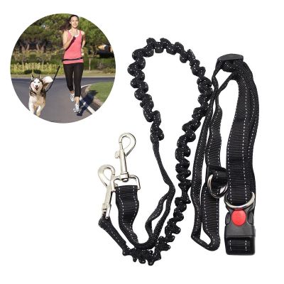 [HOT!] Dogs Leash Waist Rope Adjustable Hand Free Dog Harness Collar Pet Walking Running Jogging Lead Waist Belt Chest Strap