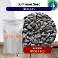 สุดยอด Black Sunflower ทานตะวันดำ 3เจ อาหารนก กระต่าย หนู กระต่าย กระรอก ชูก้า และสัตว์ฟันแทะ (แบ่งขาย 500G / 1KG)