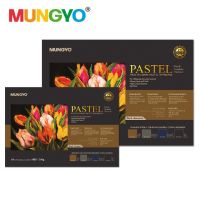 Mungyo professional pastel paper pad A3/A4 dark 20 pads