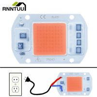 110V 220V LED Chip 20W 30W 50W COB Chip No Need Driver LED Lamp Beads for Flood Light Spotlight full spectrum DIY Lighting