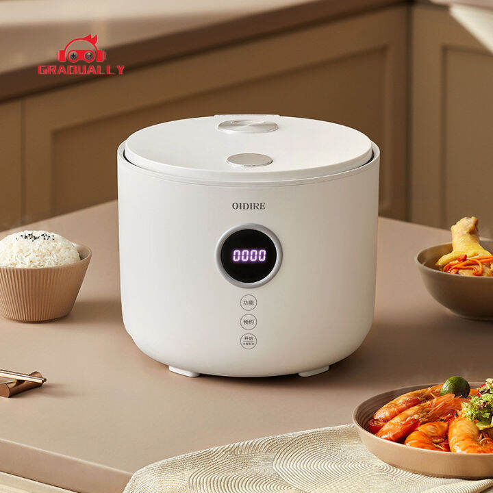 Rice Cooker and Warmer, 2 L, NonCoating inner pot, Efficient, Multiple